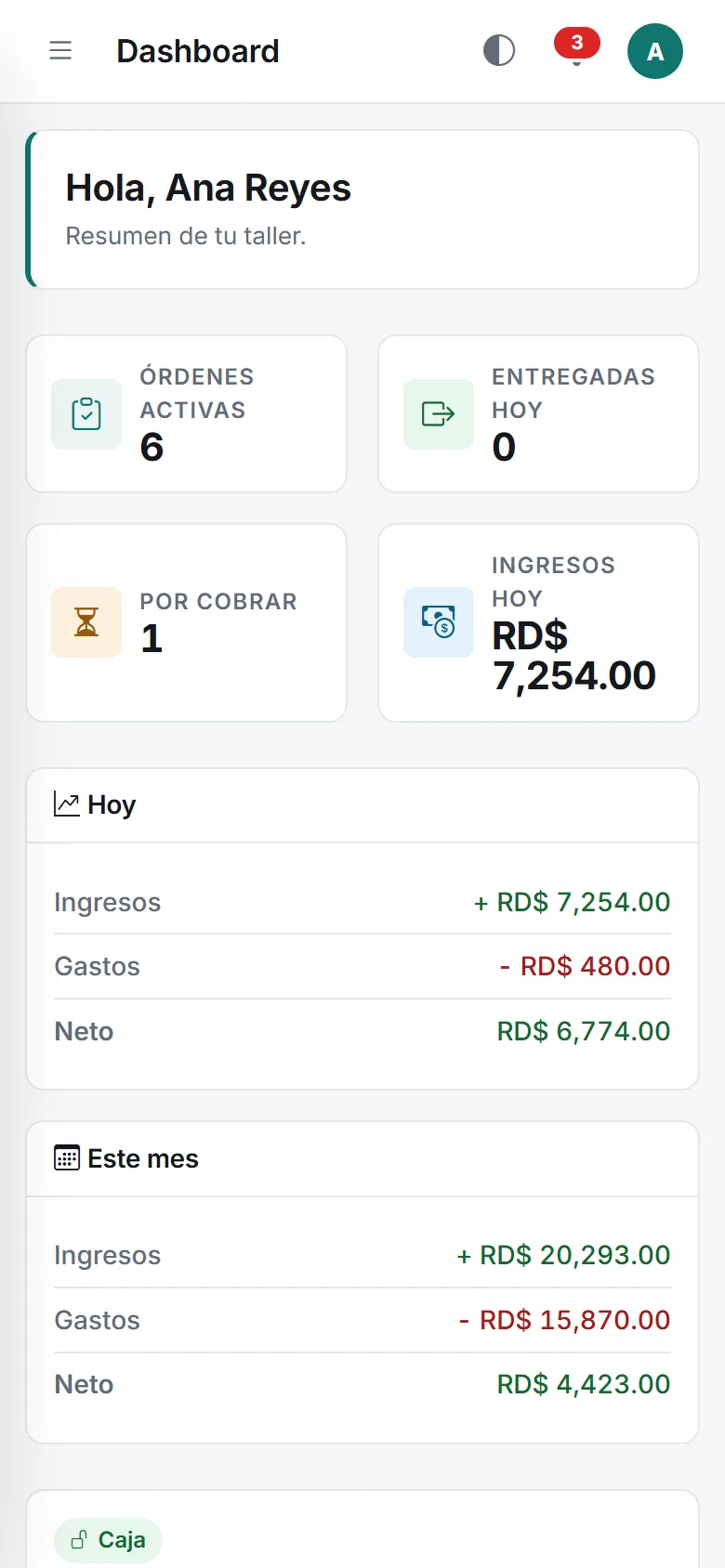 Servia instalada en un celular: resumen del día con barra de navegación inferior